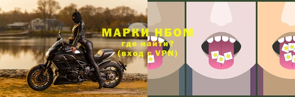 мдпв Карпинск