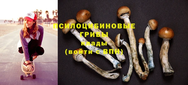 не бодяженный Каменногорск