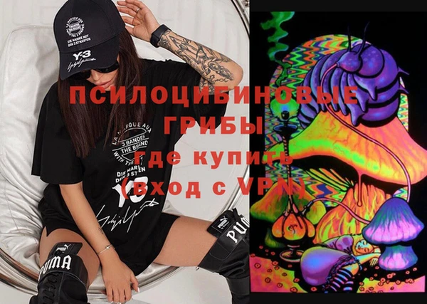 не бодяженный Каменногорск