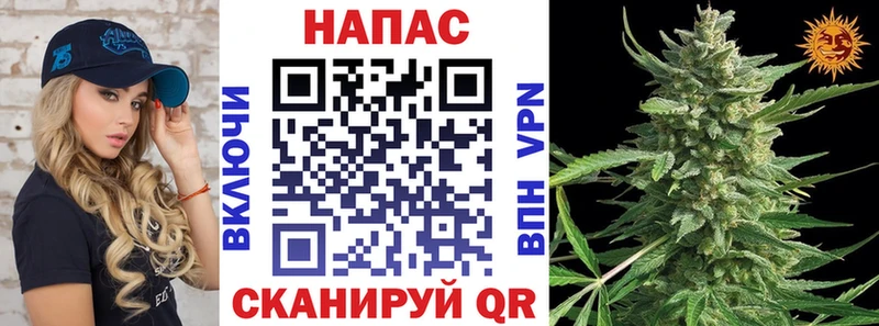 Купить где  Иланский  МАРИХУАНА MAZAR 